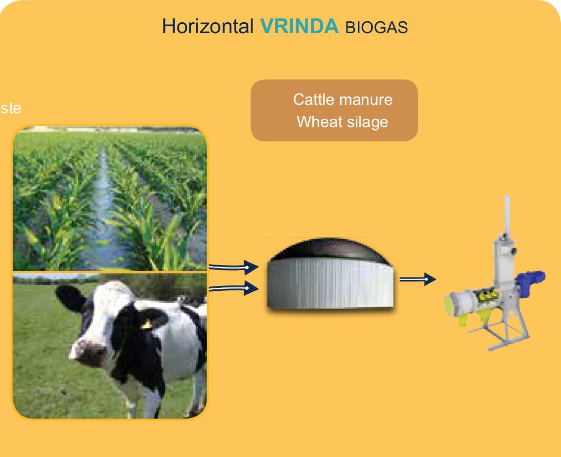 Image hover effect image